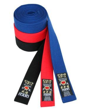 Cintura Nera Sparring Arti Marziali Regalo Colorato Karate Maglietta 