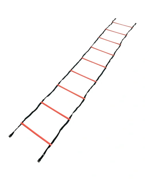 Scaletta Skip Agility