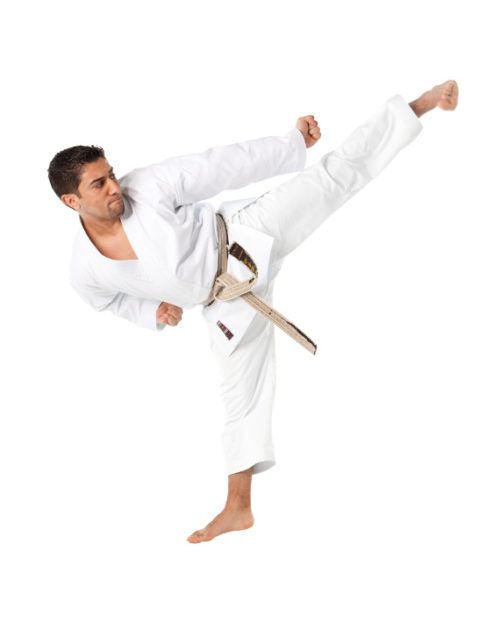 Karategi Tokaido Ultimate Tradizionale