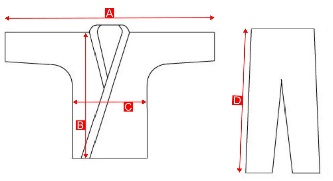 immagine_finale_karategi